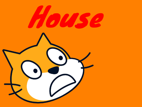 House - In progress