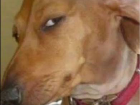 Bombastic side eye