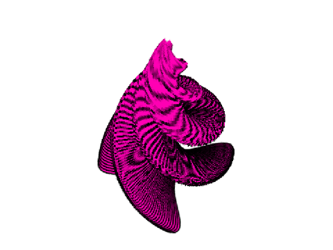 2.5D thing 