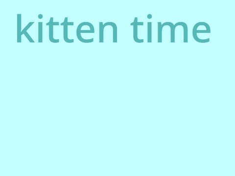 kitten time!!! 
