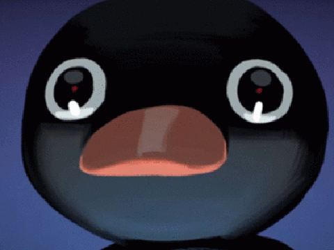 NOOT NOOT.