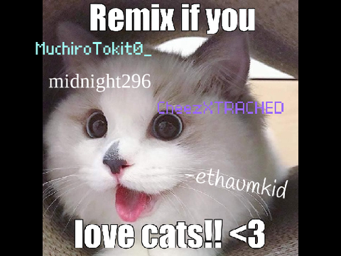 Remix if u like cats remix