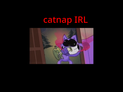 Catnap IRL