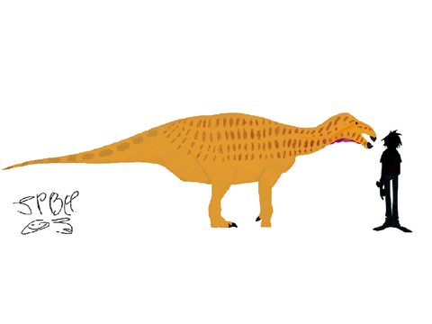 Iguanodon bernissartensis compared to Homo sapiens
