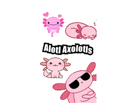 XD