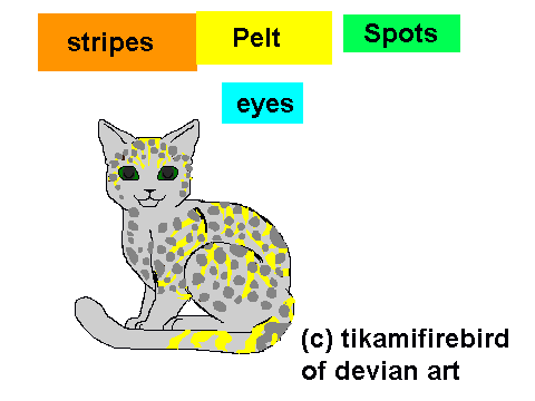Create a cat
