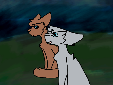 animation tetst