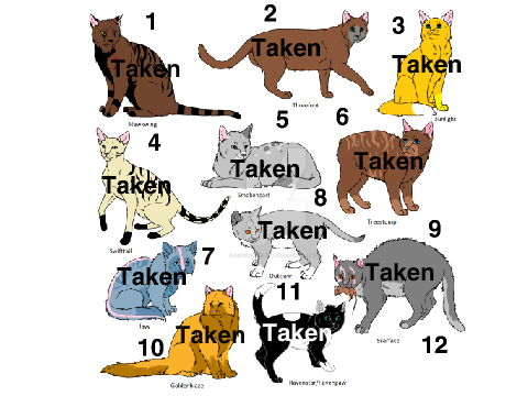 Adopt a Warrior cat! (CLOSED)