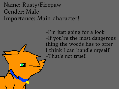 Auditions for Warriors: Into the Wild remix