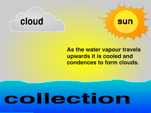 Water Cycle labled