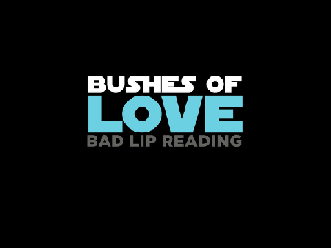 BUSHES OF LOVE: From Bad Lip Reading