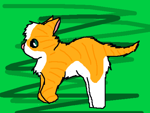 Sunkit run cycle