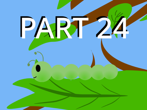 24