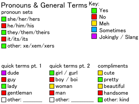 Terms & Pronouns Sheet remix