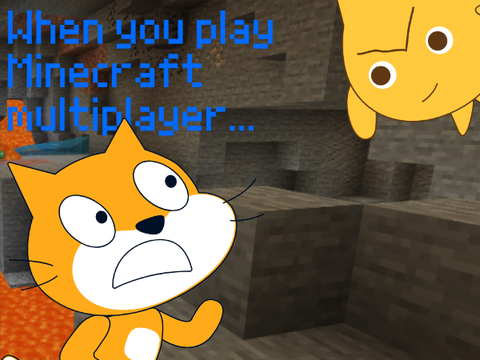 When you play Minecraft multiplayer...