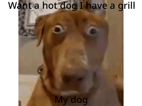 Hot dog