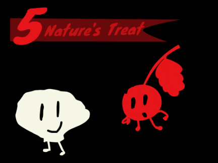 MCH 5: Nature's Treat