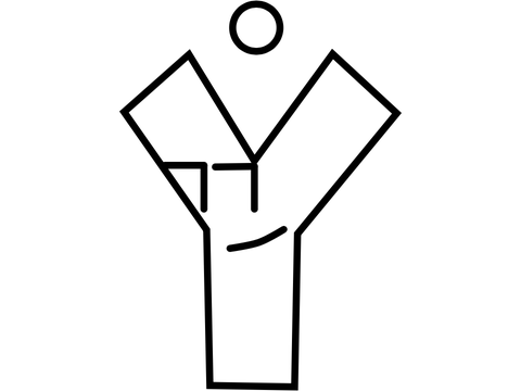 Remade version of Ẏ