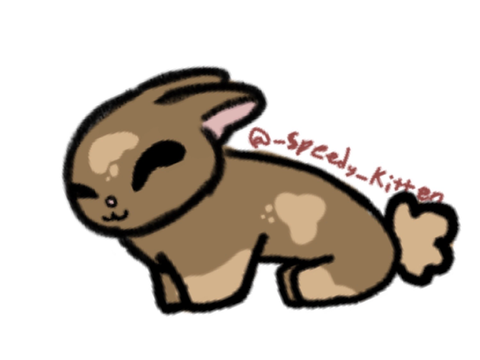 Bunny 