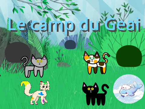 Le camp du Geai ~ Part 8