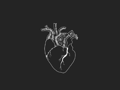 CRUSH FINDER. III