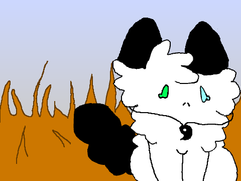 Animation (I am not done Kids)