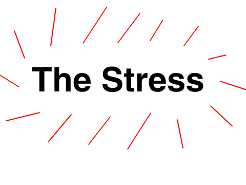 THE STRESS OF LIFE