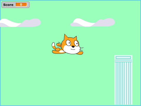 Cat Flying