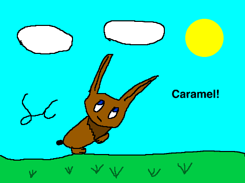 NEW OC CARMEL!!!!!!!!!!