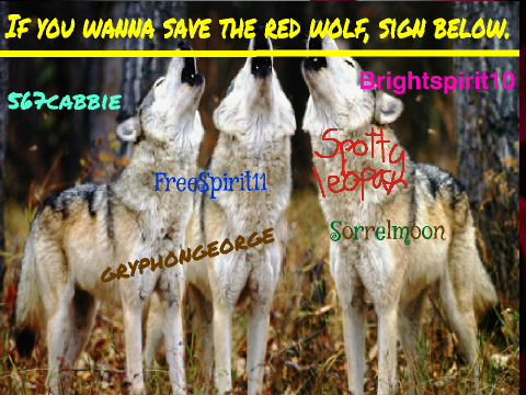 Save The Red Wolves!
