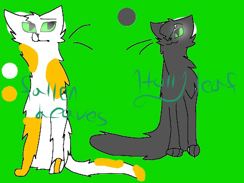 Fallen Leaves and HollyLeaf desings