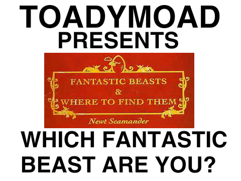 Which Fantastic beast are you?