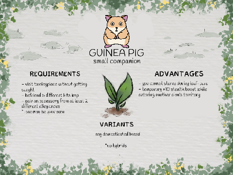 companion idea