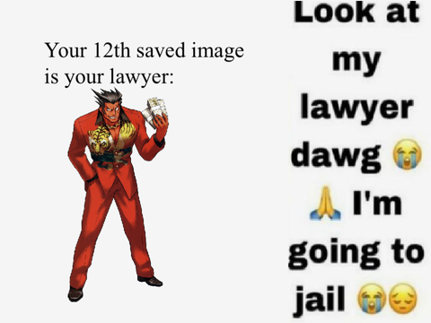 Your 12th Saved Image is Your Lawyer 