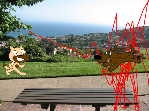 Cat VS Dog