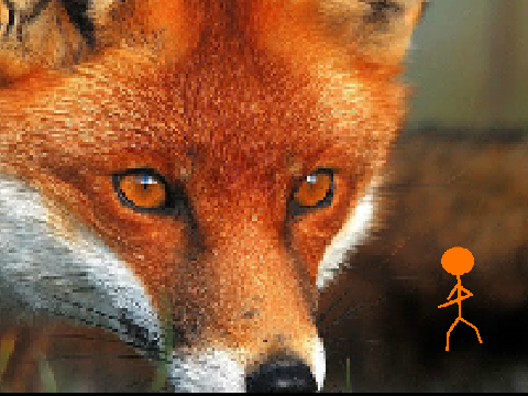Add yourself dancing to: What Does the Fox Say