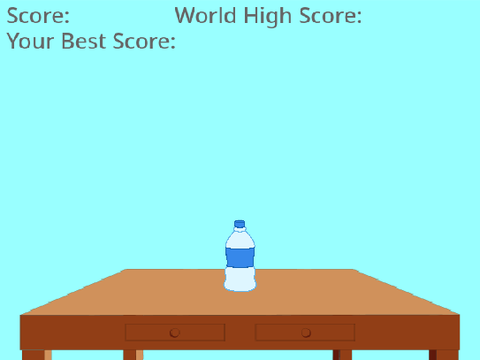 Bottle Flip