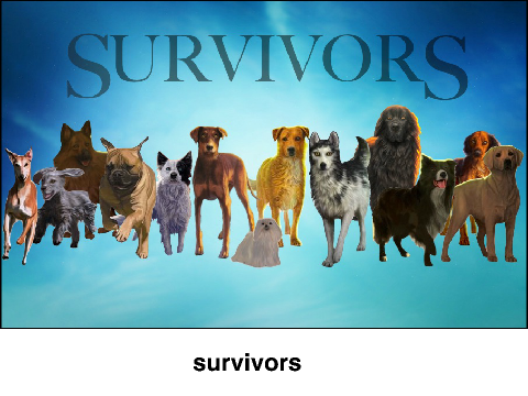 Survivors or Warriors?