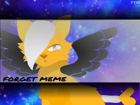 F O R G E T || meme