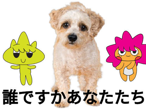 ！？