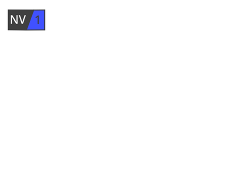 NV1 Screenbug (2026-)