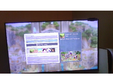something's up with my minecraft