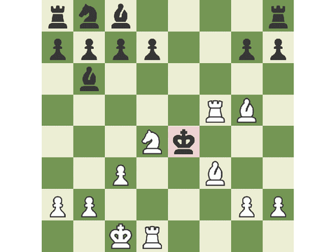 Interesting chess game
