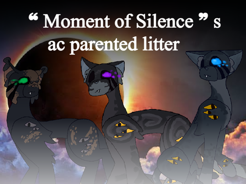 " A Moment of Silence" s ac parented litter