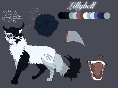 Lillybell - redesign 