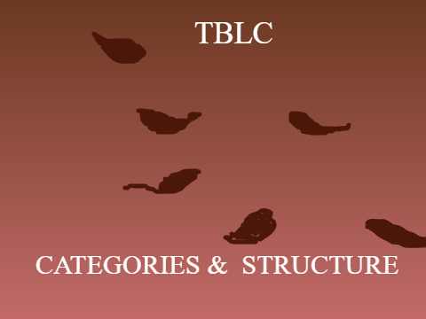 THE GLADIATOR'S CHAMPIONSHIP: STRUCTURE