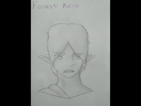 Forest Fanart