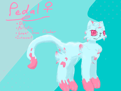 Quick Cat Draw: Pedal
