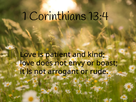 ˋ°•*⁀➷Verse of the week 7/6