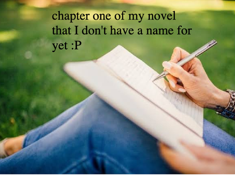 Chapter One of my novel - Writing Contest Entry